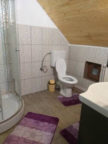 Фото номера Двухместный номер с 1 кроватью Гостевой дом Casa de vacanta Denisa г. Кырцишоара 2