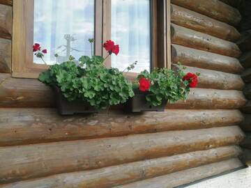 Фото номера Дом для отпуска Дома для отпуска Cabana Rustic Balea г. Кырцишоара 21